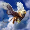 Griffin